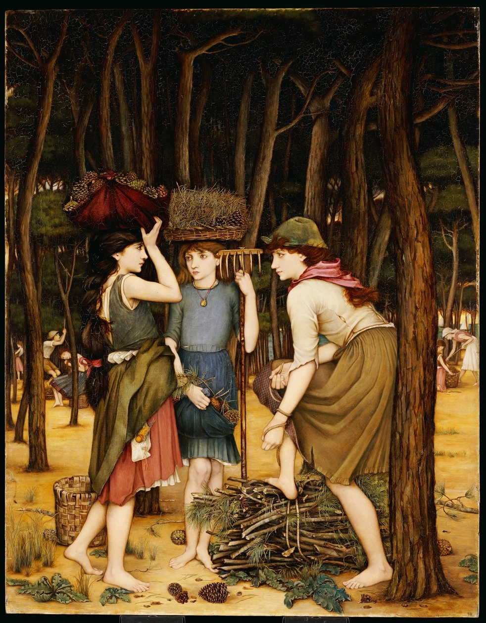 Pineta a Viareggio